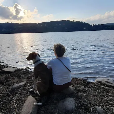 Apartment Alte Schmiede 2 Fewos