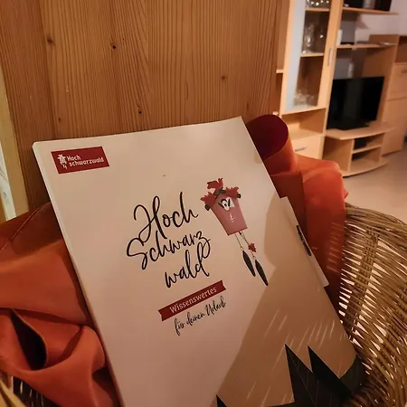 Alte Schmiede 2 Fewos Apartment Feldberg (Baden-Wurttemberg)