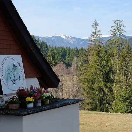 Apartmán Alte Schmiede 2 Fewos