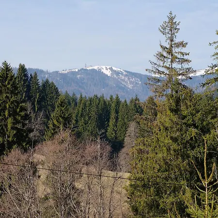 Alte Schmiede 2 Fewos Apartmán