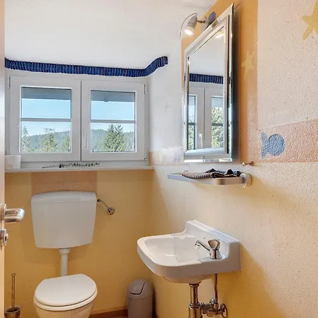 Apartmán Alte Schmiede 2 Fewos Feldberg (Baden-Wurttemberg)
